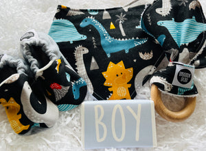 Dinosaurs Baby Bundle